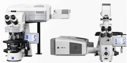 Laser Scanning Microscope (LSM)